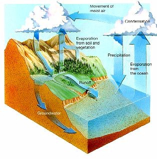 Water cycle